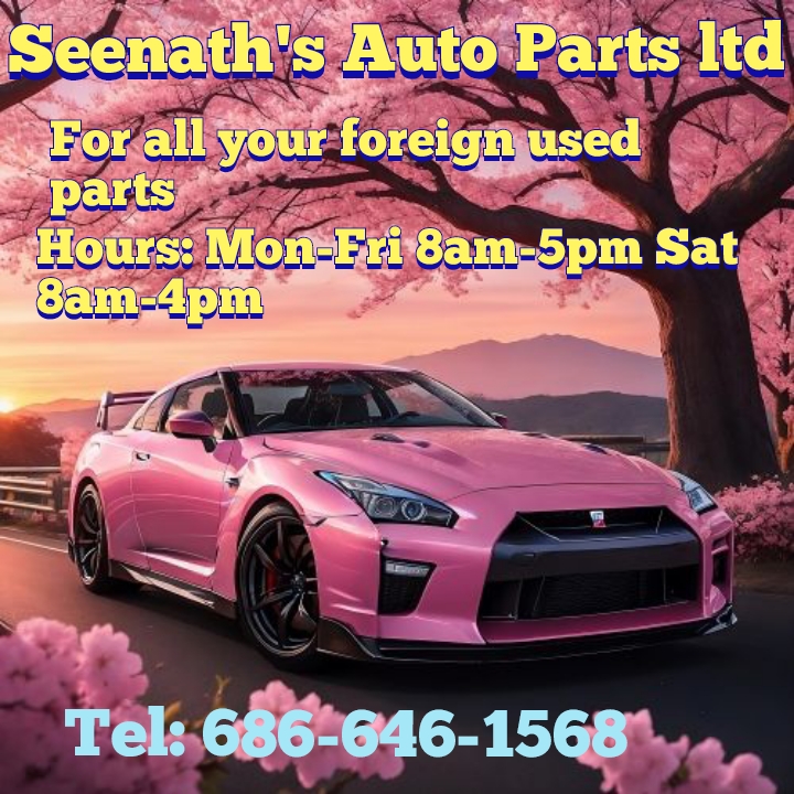Seenath's Auto Parts ltd Pink gtr